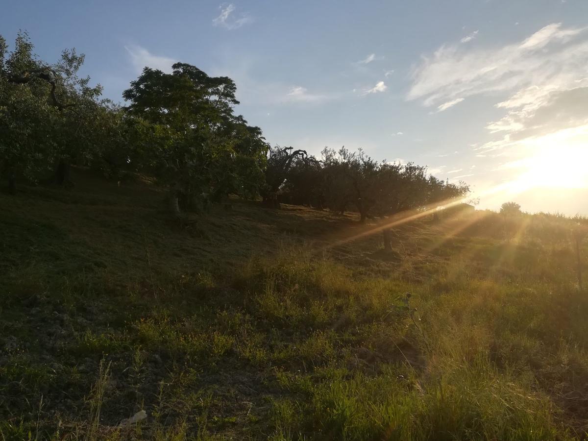 아테싸 Agriturismo La Ruelle 빌라 외부 사진