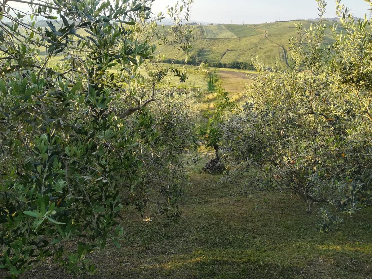 아테싸 Agriturismo La Ruelle 빌라 외부 사진